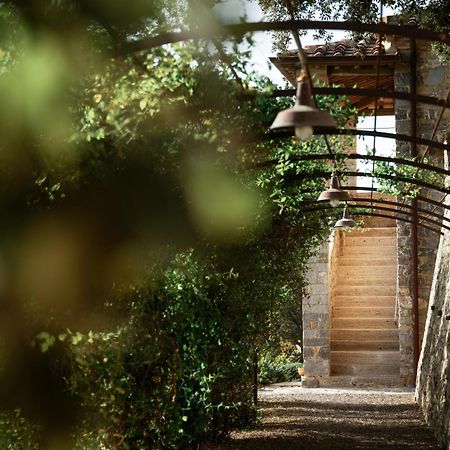 Tenuta Castelgiocondo Montalcino Dış mekan fotoğraf